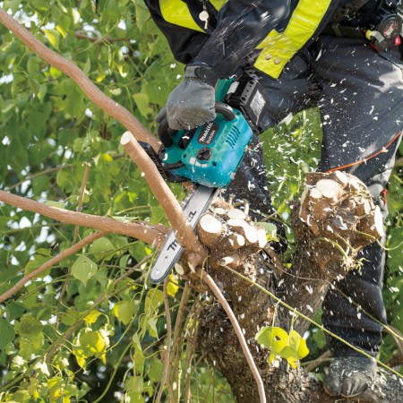 Cordless Chain Saw DUC254