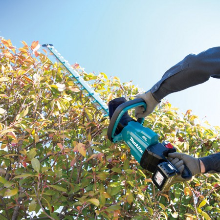 Cordless Hedge Trimmer DUH602
