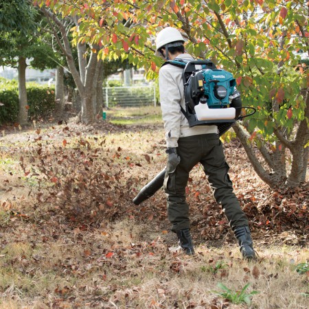 Petrol Blower EB5300TH