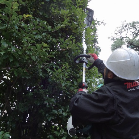 Petrol Pole Hedge Trimmer EN7350SH