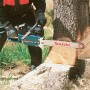 Petrol Chain Saw DCS9010