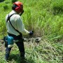 Petrol Brushcutter EM3400U
